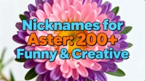 Nicknames for Aster: 200+ Funny & Creative