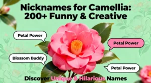 Nicknames for Camellia: 200+ Funny & Creative